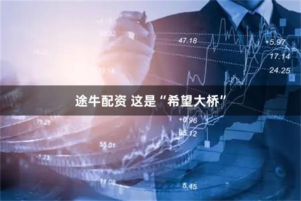 途牛配资 这是“希望大桥”