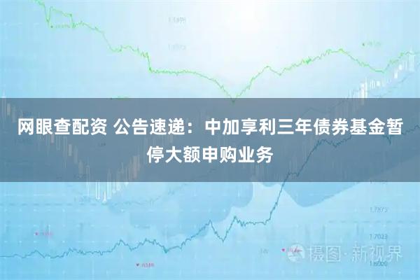 网眼查配资 公告速递：中加享利三年债券基金暂停大额申购业务